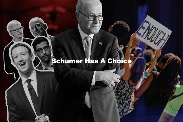 Schumer has a choice
